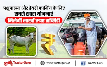 डेयरी फार्म / पशुपालन योजना